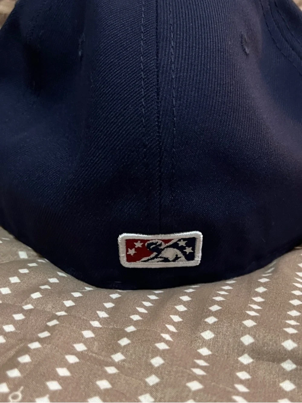 Lehigh Valley Iron pigs Fitted Hat with Red & White Embroidered Logo